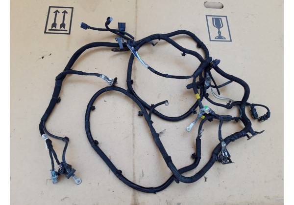 Проводка двигуна, коса Peugeot/Citroen C4, 207, 208, 1.6 HDi, Bosch, 9801182080, 9673369480